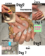scaled_1000037164