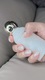 image_picker_120FE5F5-3065-4C85-9859-11B1011B0A97-5053-0000018F781D3276