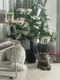 image_picker_183270CD-C8F2-4195-B730-1510381180CC-77751-000030601D5A2942