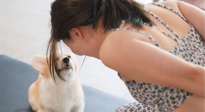 Pawasana (Yoga With Puppy) Pawasana (Yoga With Puppy) - พาวาสะนะ (โยคะกับลูกสุนัข) สุขุมวิท 4