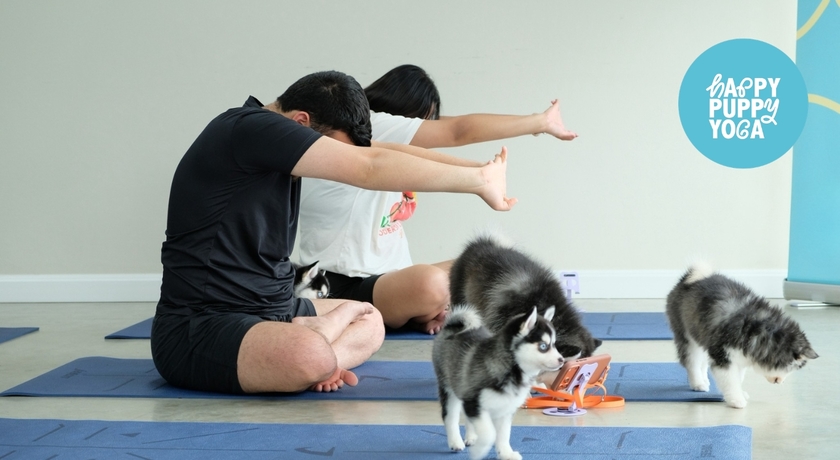 Happy Puppy Yoga Bangkok (Pridi Banomyong 31) Happy Puppy Yoga Bangkok (Pridi Banomyong 31) - แฮปปี้ พัพพี่ โยคะ กรุงเทพฯ ปรีดีพนมยงค์ 31 1