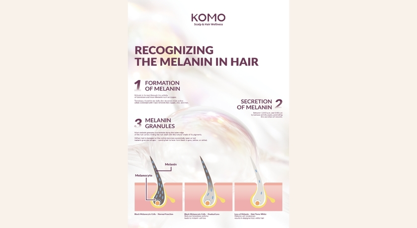 KOMO Scalp & Hair Wellness (at Central Westgate) KOMO Scalp & Hair Wellness – โคโม่ ดูแลหนังศีรษะและเส้นผม เซ็นทรัลเวสต์เกต 9