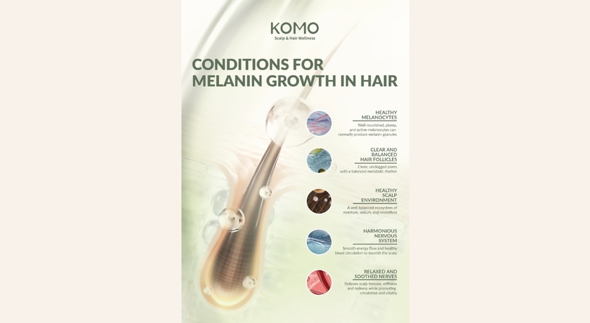 KOMO Scalp & Hair Wellness (at Central Westgate) KOMO Scalp & Hair Wellness – โคโม่ ดูแลหนังศีรษะและเส้นผม เซ็นทรัลเวสต์เกต 10
