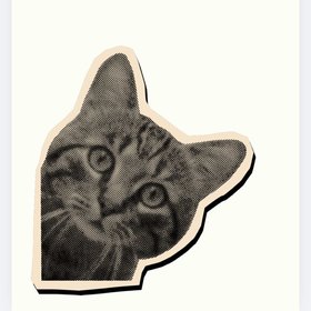 user icon