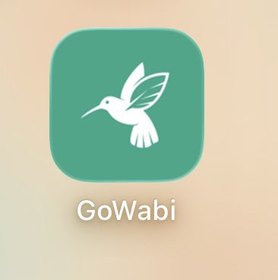 user icon