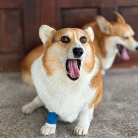 user icon