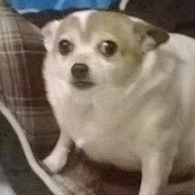 user icon