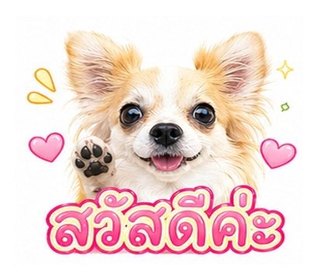 user icon
