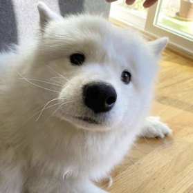 user icon