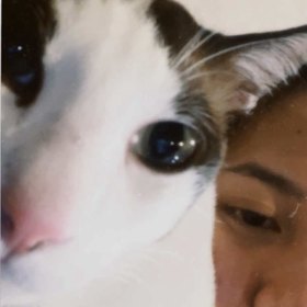 user icon